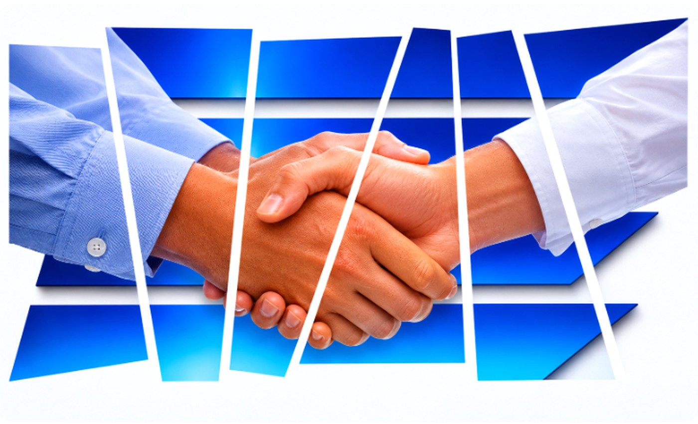 Professional client partnership